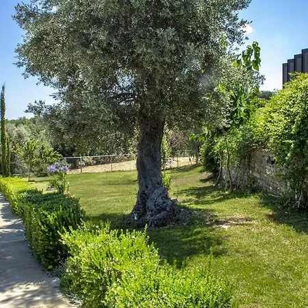 Arion Krini Villa *