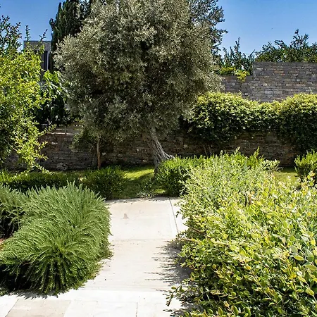 Arion Krini Villa Amnátos